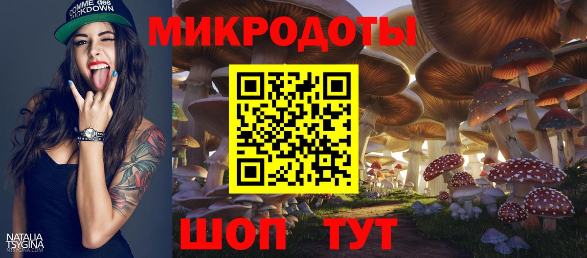 Волгодонск  Псилоцибиновые грибы GOLDEN TEACHER  Вход с VPN 